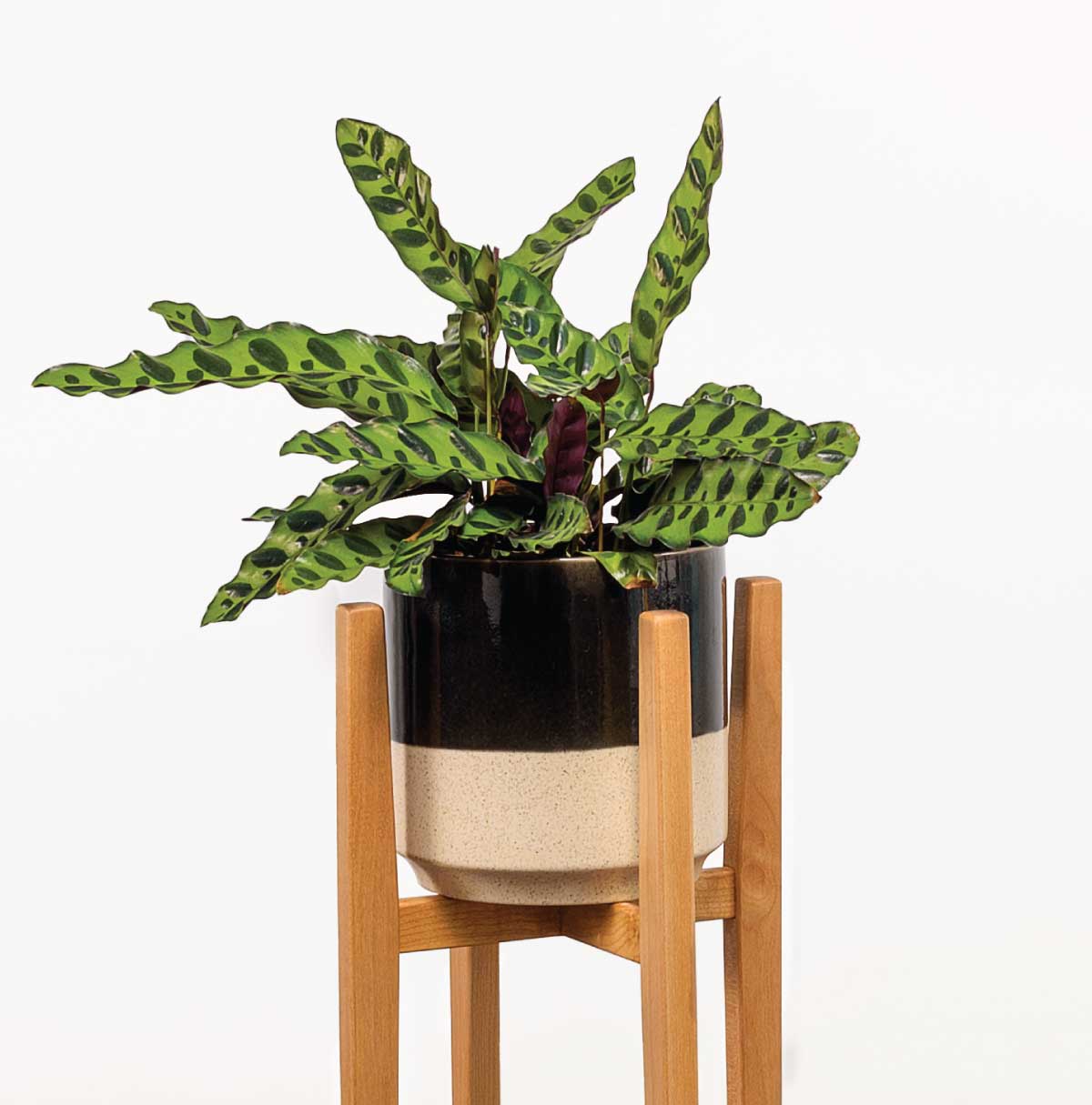 Treehouse Plant Stand - thestableswoodshop