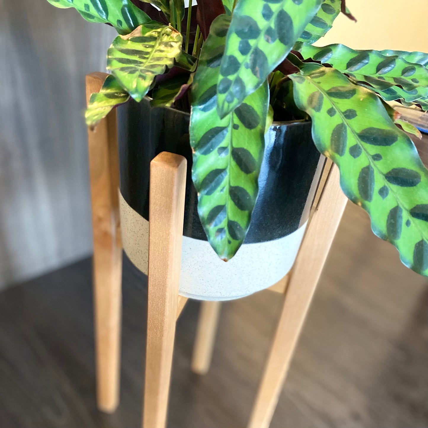 Treehouse Plant Stand - thestableswoodshop